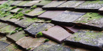 Wedmore roof repair costs